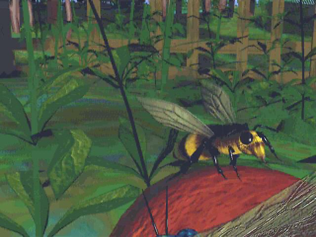 Шестое Измерение